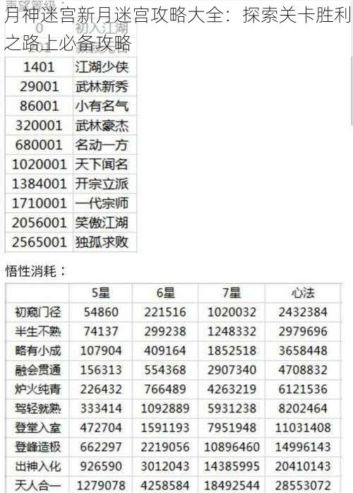 月神迷宫新月迷宫攻略大全：探索关卡胜利之路上必备攻略